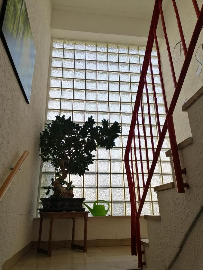 Ferienhaus Elwetritsche In Landau/Pfalz Landau in der Pfalz Eksteriør bilde